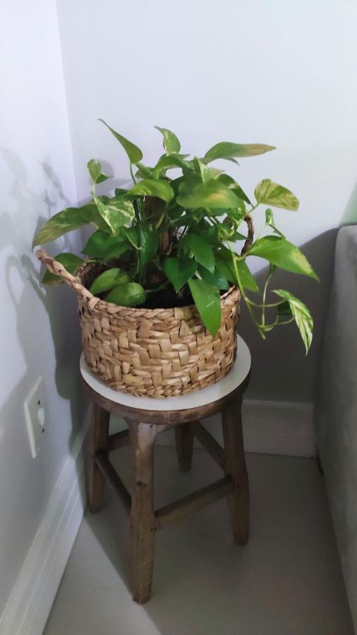 Pinda X Campos X Aparecida Apartment Pindamonhangaba Ngoại thất bức ảnh